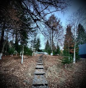 Tree house Predeal THE STARS CABIN 2 Ciubar