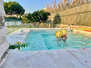 Villa Loretta 1 with pool, jacuzzi and garden