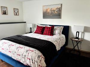 Amazing Views, Northern Lights, Stargazing Entire Guest Suite in Golden, BC Canada