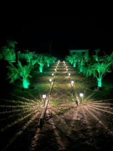 Casa Miralago Boutique