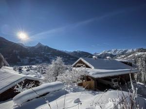 Chalet Christl Panorama Appartements