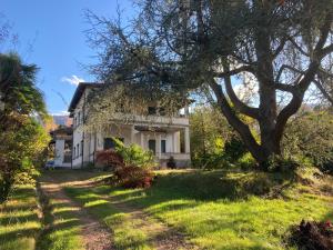 Vista Verde - Villla Giulia 5 min loopafstand tot het meer