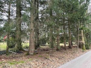 Cabin within walking distance of Västersjön