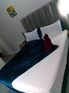 Neo & Ruks Guest Houses Boston Belleville 8