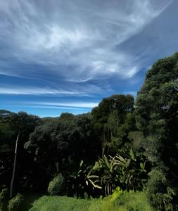 Flat Funcional Moderno | Conforto e Praticidade