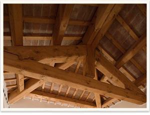 Villa Riviera Naviglio Venezia