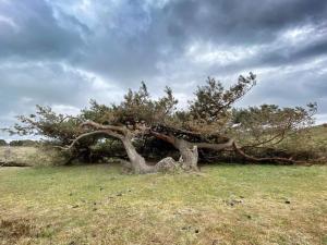 5 person holiday home in Græsted