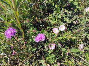 4 person holiday home in Karrebæksminde-By Traum