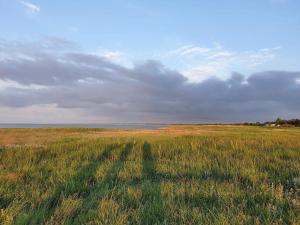 8 person holiday home in Ørsted-By Traum