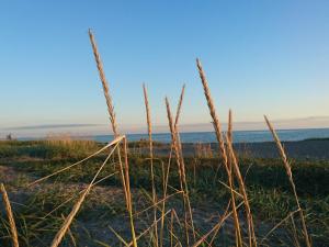 3 person holiday home in Karrebæksminde-By Traum