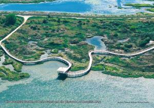 Apartment in Rosolina Mare 35638