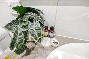 Supersized Studio Inexpensive 1x1