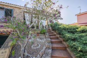 Holiday home in Paduledda 53790