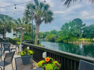 Family Tides at Litchfield