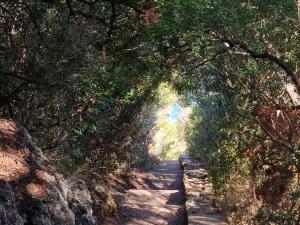 Your house at Setúbal city center