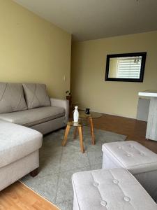 Condominio Viña Oriente 2