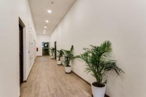 Super Townhouse Gandhi Hall