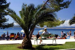 Apartment in Crikvenica 50290