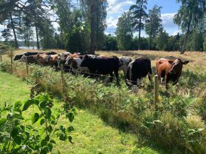 5 person holiday home in FLISBY