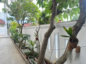 Little White Pavilion小白楼