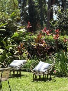 Temporario yerba buena country