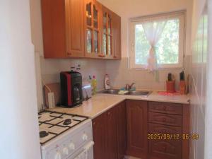 Holiday home in Csopak - Balaton 18315