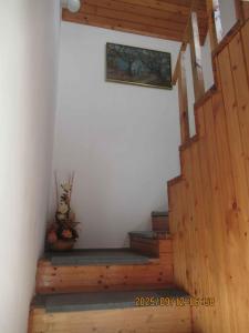 Holiday home in Csopak - Balaton 18315