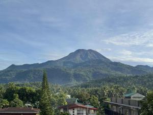 Peaks&Pedals Transient