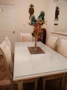 Canalside Chic Your London Escape Starts Here WIFI and Airport Transfers