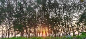 ART Marari Beach house