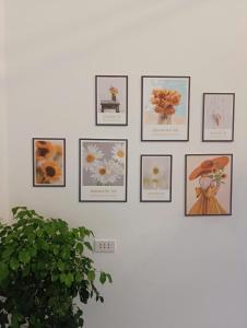 Hanoi Quarter Life Hostel