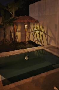 The Banana Tree House