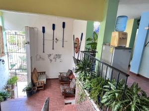 MayFlower Hotel & Hostal