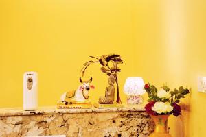 Hotel Kumbha Heights Fort Chittorgarh