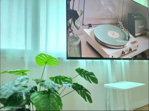 대전 안락한 스테이