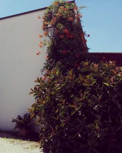 Nenna Country