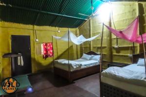 Wild Planet Eco Retreat