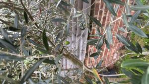 Double room, family house