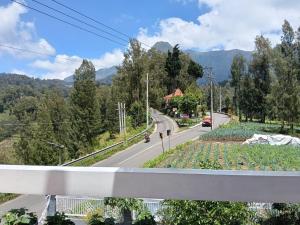 Pulmo Guesthouse Bromo