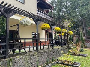 Impala Sinaia - Springbok