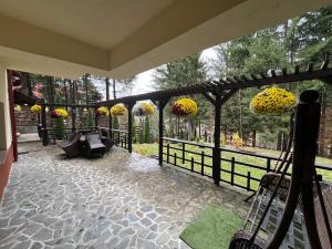 Impala Sinaia - Springbok