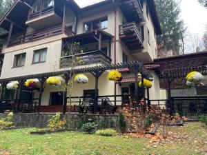 Impala Sinaia - Kudu