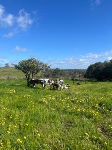 Campaspe Valley View Farm Stay
