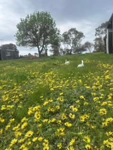 Campaspe Valley View Farm Stay