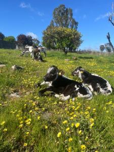 Campaspe Valley View Farm Stay