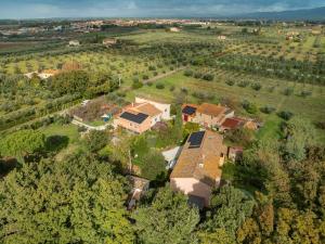 Agriturismo La Gatta E LOlivo