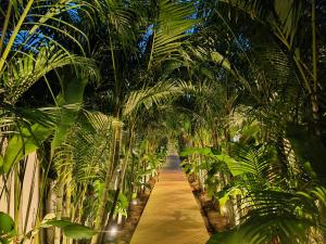 Villa Palmara by SP Villa Management