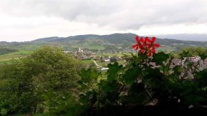 Houses and Apt in Smarjeske Toplice Kranjska Krain 26042