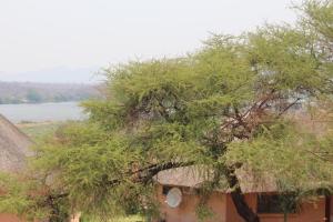 Gerasimos safari lodge