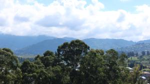 Dreamland Oasis apartments